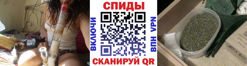 Купить закладки  Лесосибирск  БУТИРАТ буратино 
