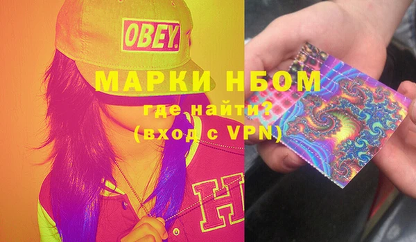 мдпв Вяземский